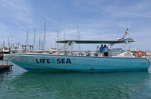 Passenger boat - POPEYE LIFEANDSEA - Drassanes Dalmau, S.A - inboard / composite