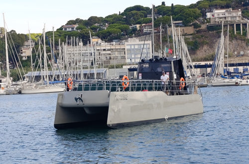 Passenger boat - SEAMYSTIC - Drassanes Dalmau, S.A - catamaran / inboard