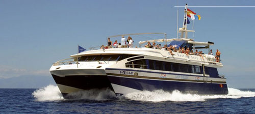 Professional fishing boat - Lady Shelley - Drassanes Dalmau, S.A - glass-bottom boat / catamaran / inboard
