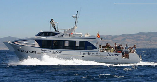 Sightseeing boat - FIRMM SPIRIT  - Drassanes Dalmau, S.A - inboard