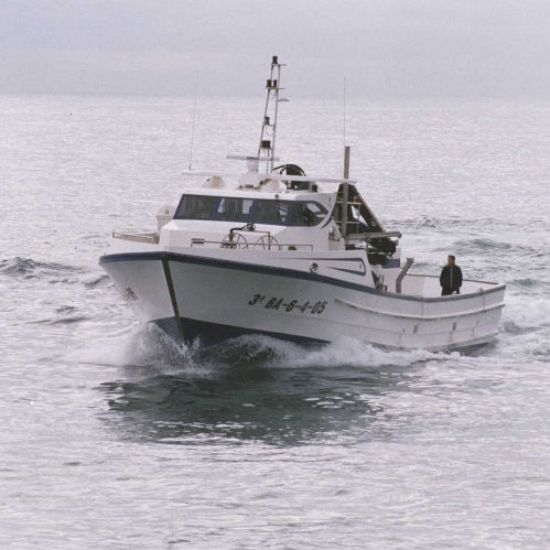 Sardine fishing boat - HERMANOS CERVILLA - Drassanes Dalmau, S.A - inboard