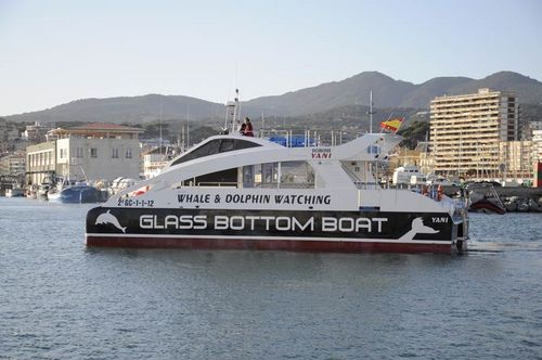 Sightseeing boat - YANI PRIMERA - Drassanes Dalmau, S.A - catamaran / inboard