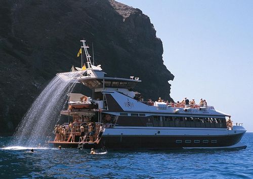 Sightseeing boat - Royal Delfin - Drassanes Dalmau, S.A - catamaran / inboard