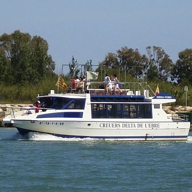Sightseeing boat - RIBERA D'EBRE  - Drassanes Dalmau, S.A - inboard