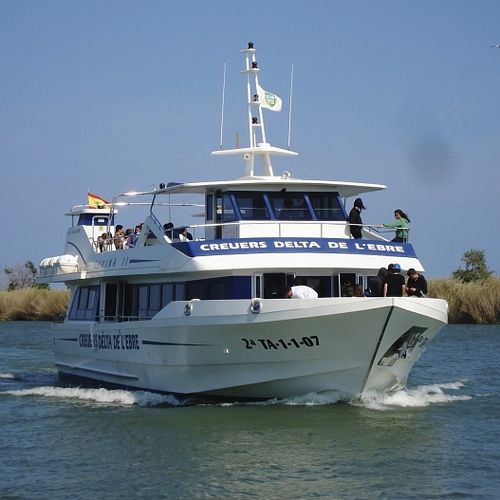 Sightseeing boat - RIU MIGJORN   - Drassanes Dalmau, S.A - inboard