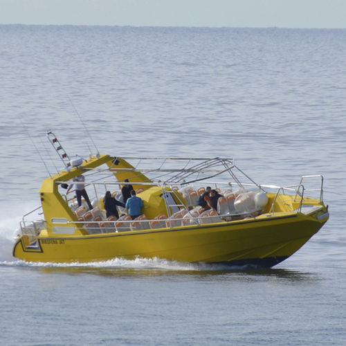 excursion boat - Drassanes Dalmau, S.A