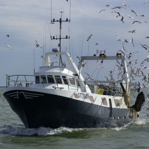 Fishing trawler - FRANÇOIS-DELPHINE - MARTINEZ CONSTRUCTIONS NAVALES - inboard / diesel / polyester