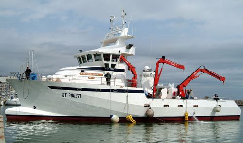 Tuna seiner commercial fishing vessel - ST 900271 - MARTINEZ CONSTRUCTIONS NAVALES - polyester