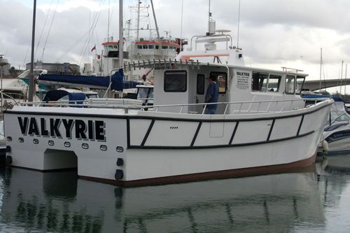 Professional fishing boat - Valkyrie - Catapult Catamarans Marine Projects Ltd - catamaran / inboard