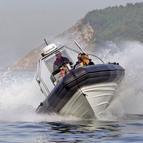 Professional rescue boat - TX-10.0 IB - Vanguard International - inboard / diesel / rigid hull inflatable boat