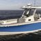 outboard center console boat290 OUTRAGEBoston Whaler