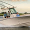 outboard center console boatCanyon 266Grady-White