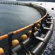 aquaculture fish cage / copper / round / floating