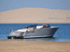 inboard runabout / dual-console / open / 12-person max.