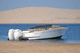 outboard runabout / twin-engine / dual-console / open