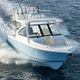 outboard runabout / twin-engine / open / dual-console