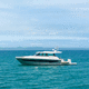 fishing motor yacht / hard-top / twin IPS / 3-cabin