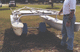 launching trolley / for sport multihulls