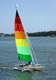 recreational sport catamaran / single-handed / catboat