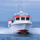 professional fishing boat / inboard / diesel