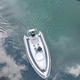 professional rescue boat / outboard / rigid hull inflatable boat