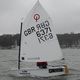 single-handed sailing dinghy / regatta / Optimist