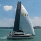 asymmetric spinnaker / for sailboats