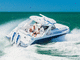 outboard center console boat / gasoline / twin-engine / stepped hull