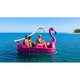 4-person pedal boat / aluminum / stainless steel / polyethylene
