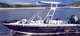 boat Bimini top / helm station / aluminum frame / rigid