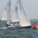 jib / for one-design sailboats / cross-cut