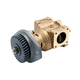 marine pump / engine cooling / seawater / impeller