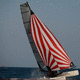 spinnaker / for racing multihulls / nylon / F18