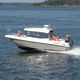 outboard cabin cruiser / with enclosed cockpit / sport-fishing / 8-person max.