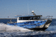 professional fishing boat / catamaran / outboard / aluminum