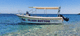 sightseeing boat / outboard
