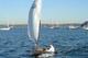 traditional sailing dinghy / catboat