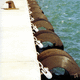harbor fender / for pontoon / cylindrical