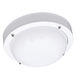 outdoor ceiling light / for ships / LED / surface-mount