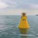 signaling buoy / foam / polyethylene / yellow