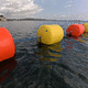 pollution control boom / safety / jellyfish-control / seaweed control
