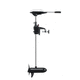 outboard engine / electric / boating / portable