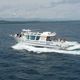 sightseeing boat / inboard / diesel / polyester