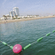 safety boom / demarcation / floating / sheltered waters