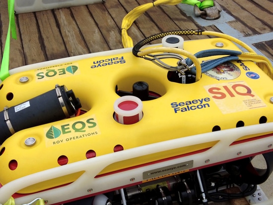 ROV Closeup