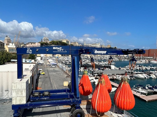 Pelican Lift Mobile Dockside Crane