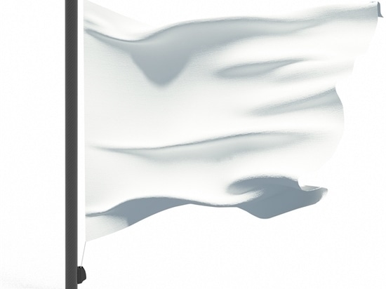 REMOVABLE FLAG POLE