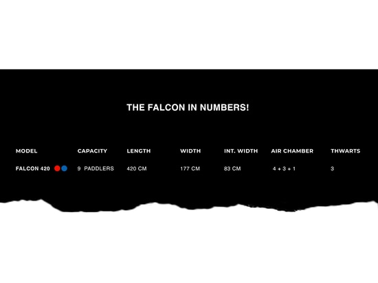 THE FALCON IN NUMBERS