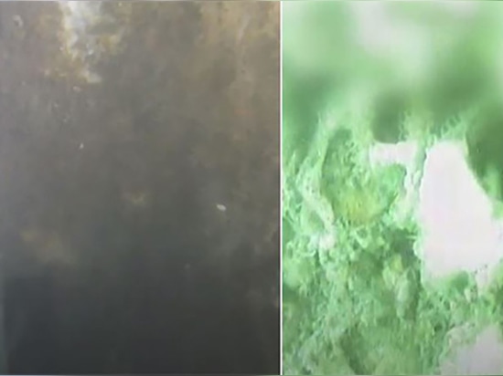 DWTEK - What is Marine Growth? Let Cameras Show You!