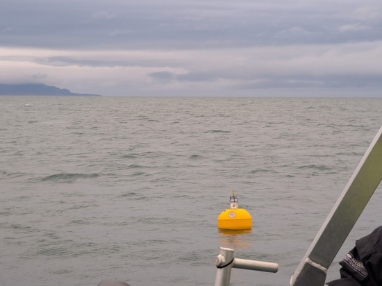 Temano® buoys are in the Arctic!